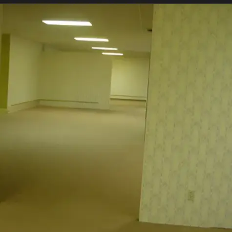 JerkyTrout7564의 The Backrooms