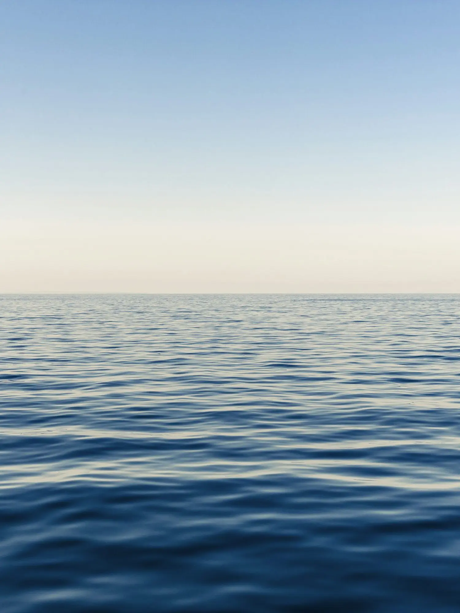 CraftyPlain7551의 필연