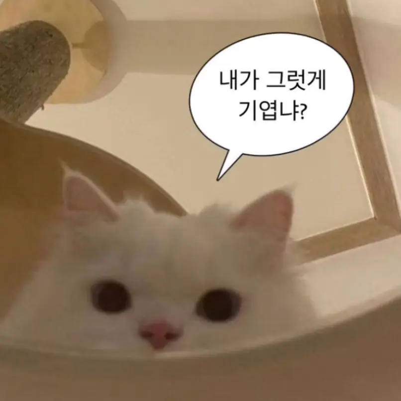 MellowRack2335의 김도윤