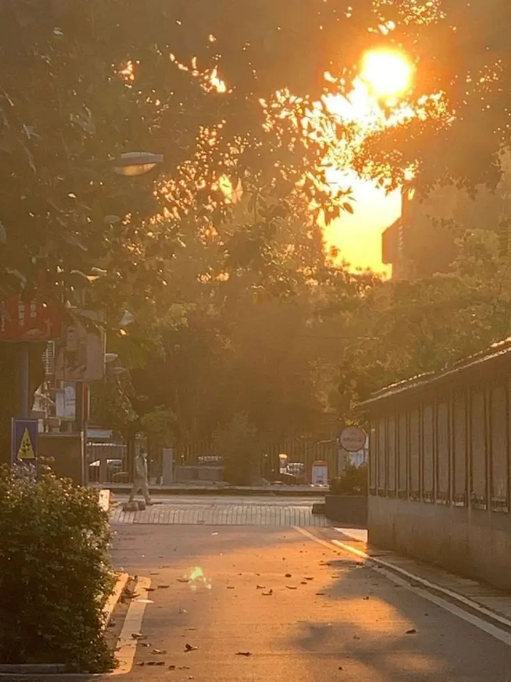 duckgae_sincere_girl의 S라인 세계관 박덕개