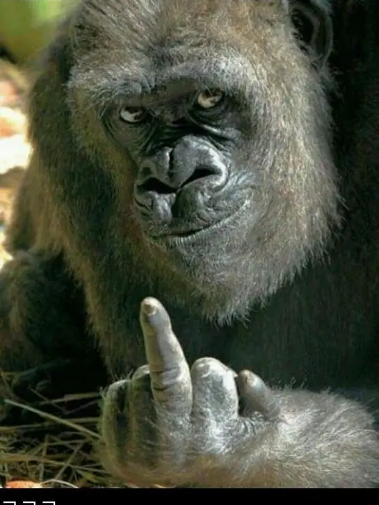 MuggyPansy8874의 골드치즈와 연애인데.. 오해입니다?!