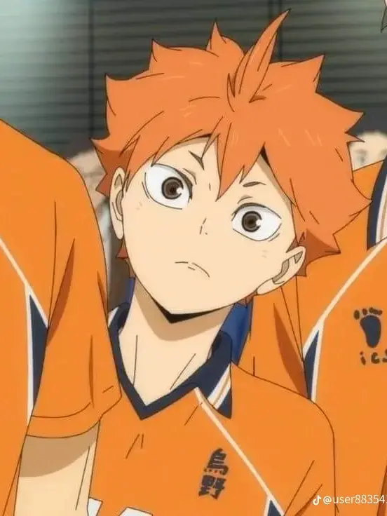 StumpyPrawn0386의 카라스노 고등학교 배구부!