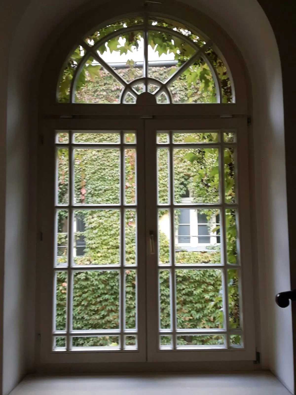 GoodNiece4490의 恋なわけがない！