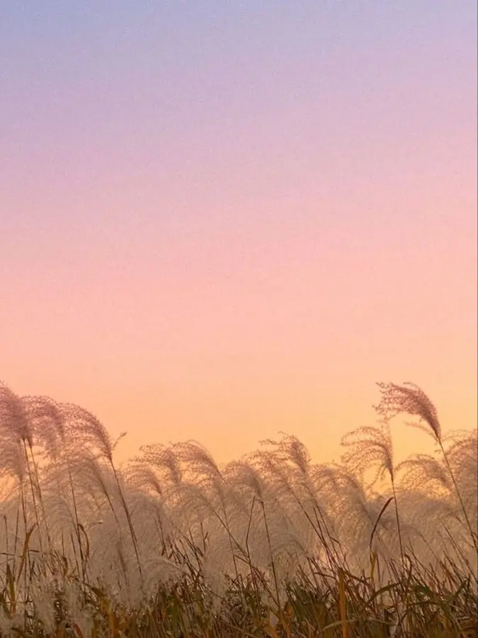 PotentJazz0488의 내 남친 박덕개는 조직원입니다.