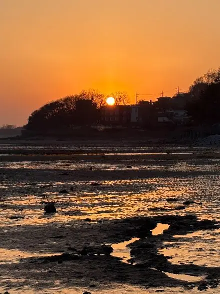 SakamotodayMARRYkiss의 그해 여름은