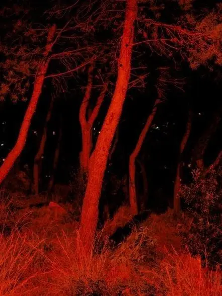 _sianx의 Mr. Matteo