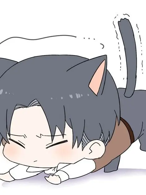 KatsukiBakugo74의 Cat Levi