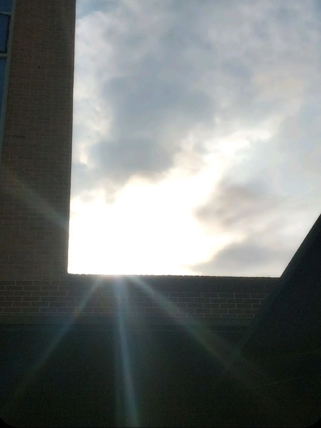 _Frog.Twist-의 싸이코드