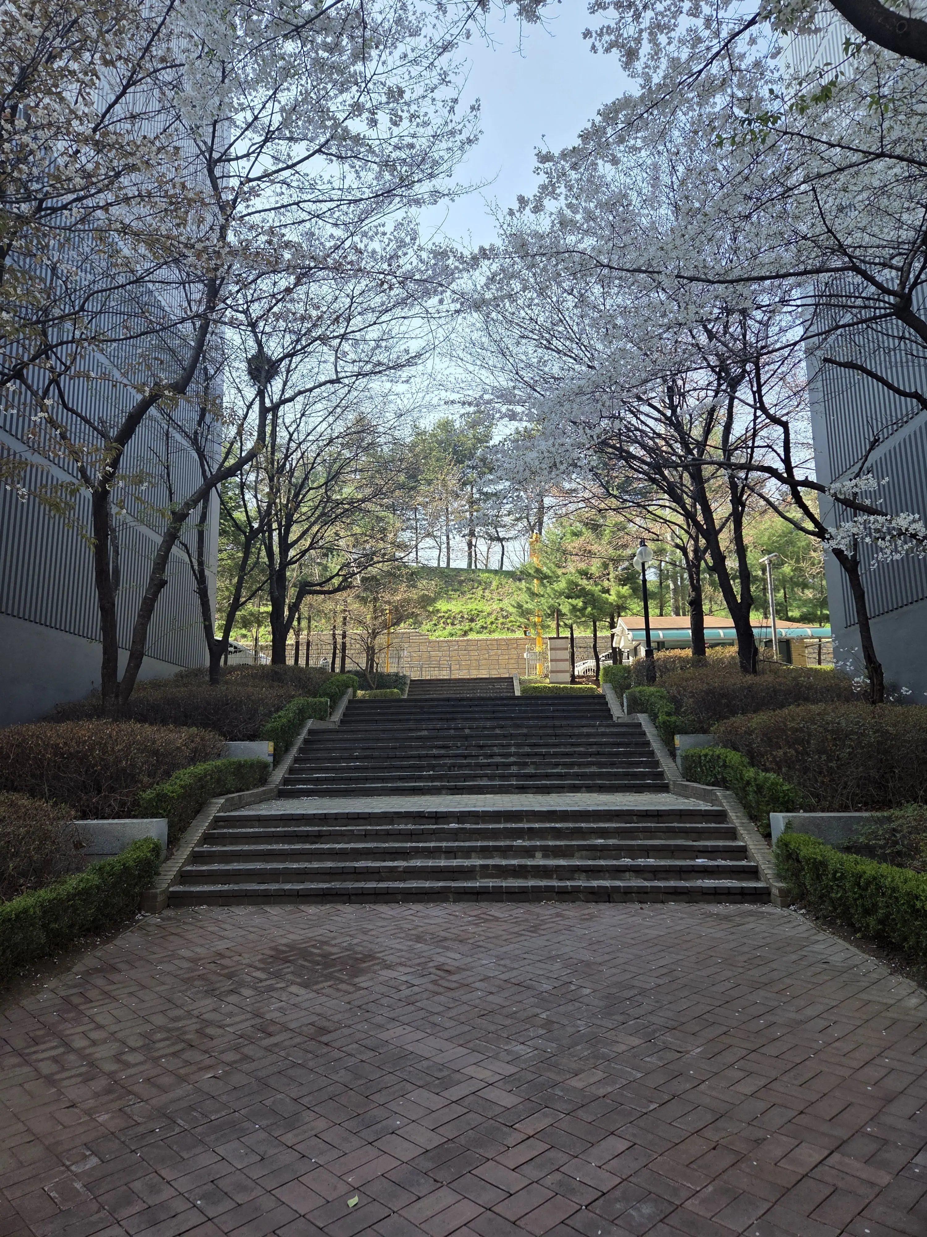 Asdehfl5187의 바닷바람 실수와 새로운인생