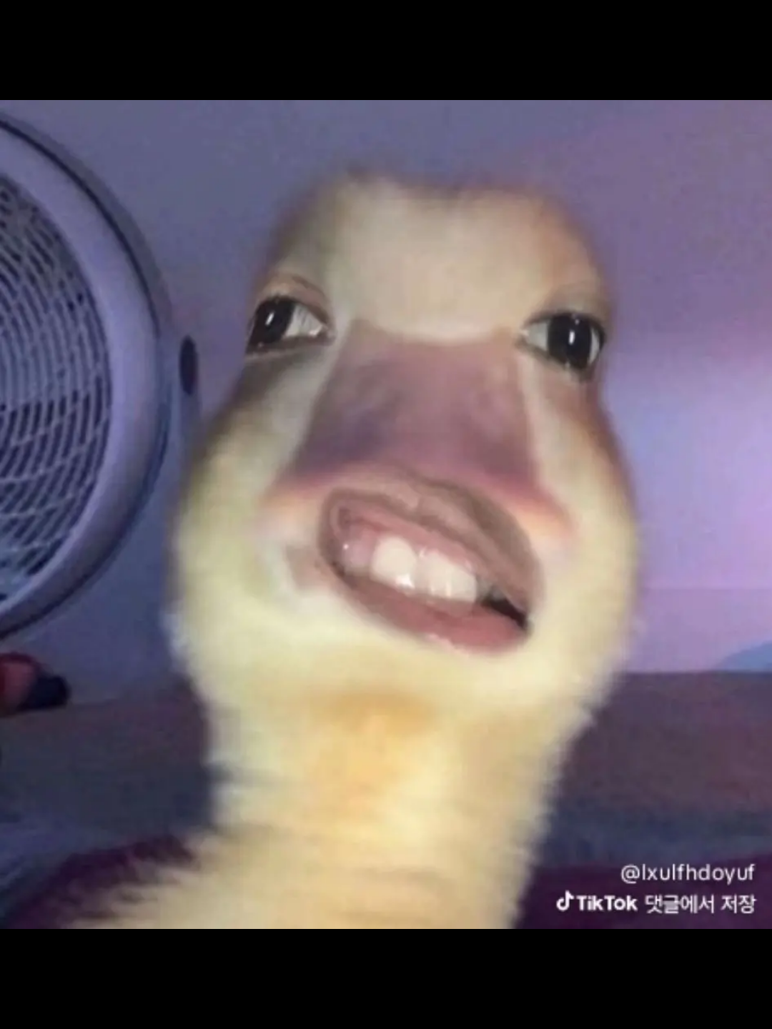 포세이큰 정신병원 대표 이미지