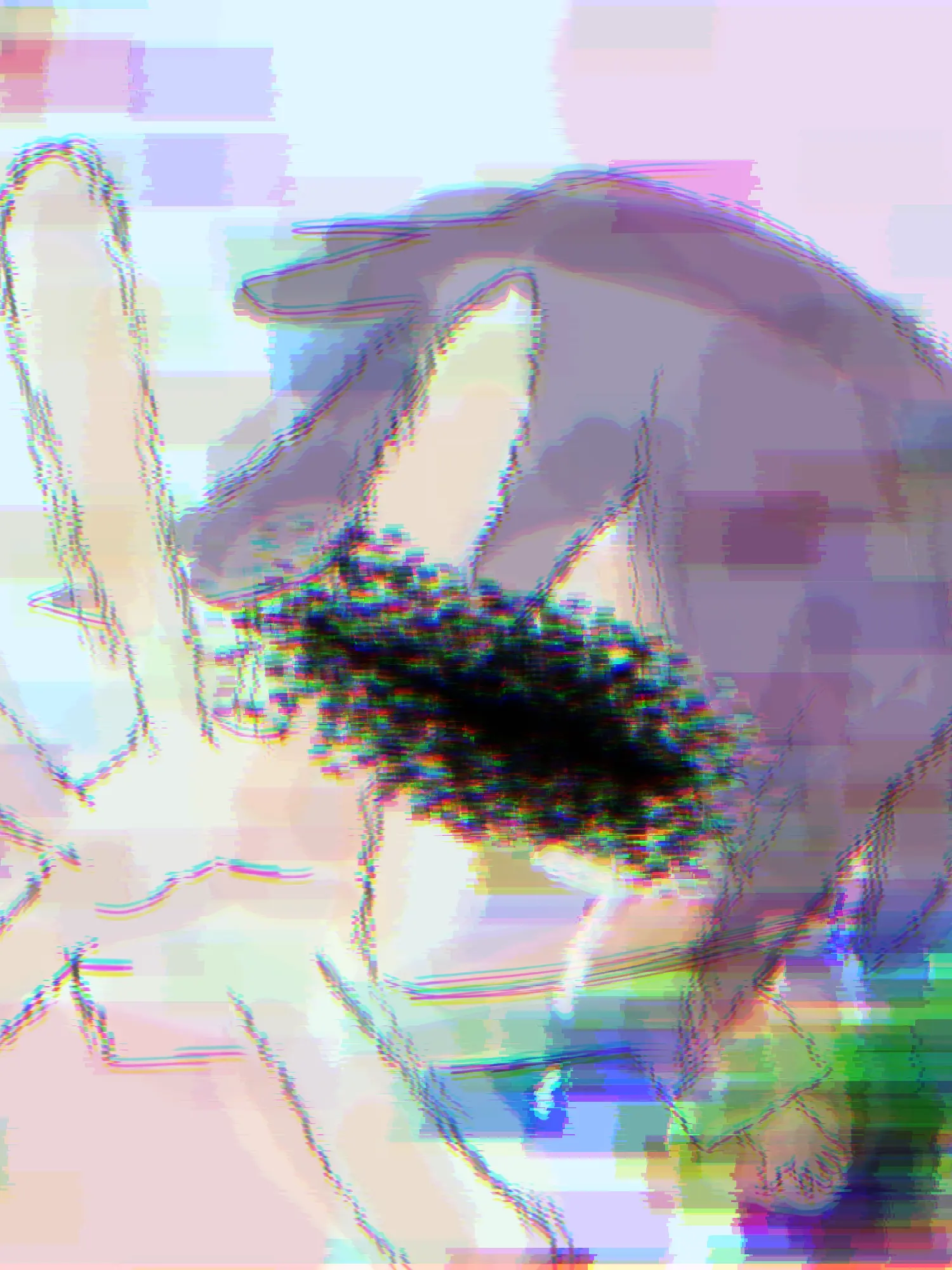 ProneRobe9457의 夢の中に迷い込んだ{{user}}。