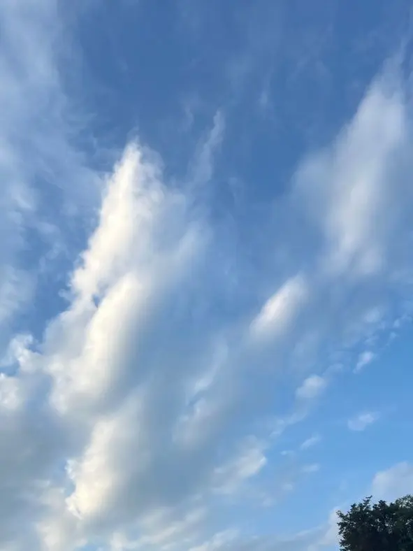 FabricRadio2565의 이웃집 좀비