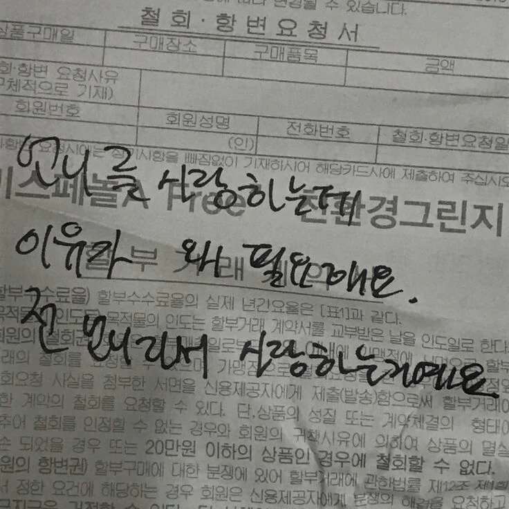 사고뭉치 막냉이 육아하기.