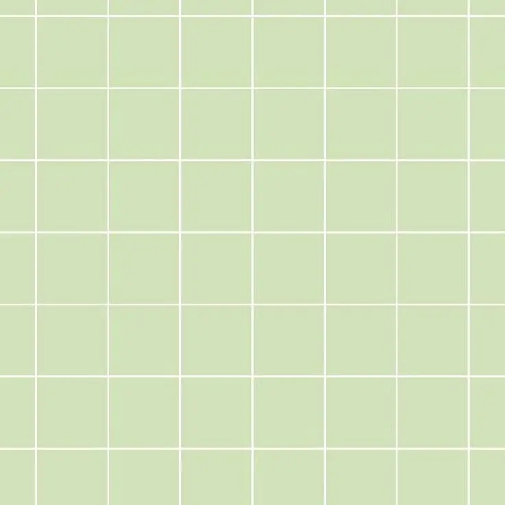 BiasedKiwi3164의 理想の先輩