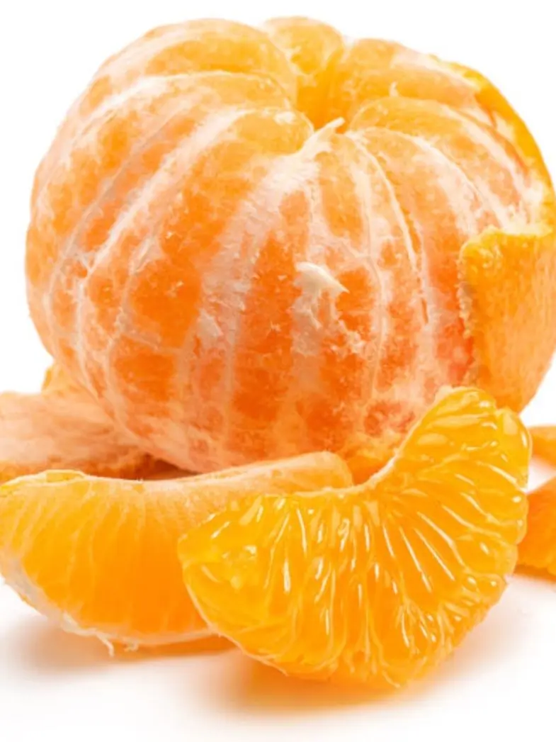 LeftElbow1368의 꽥탐 + 귤