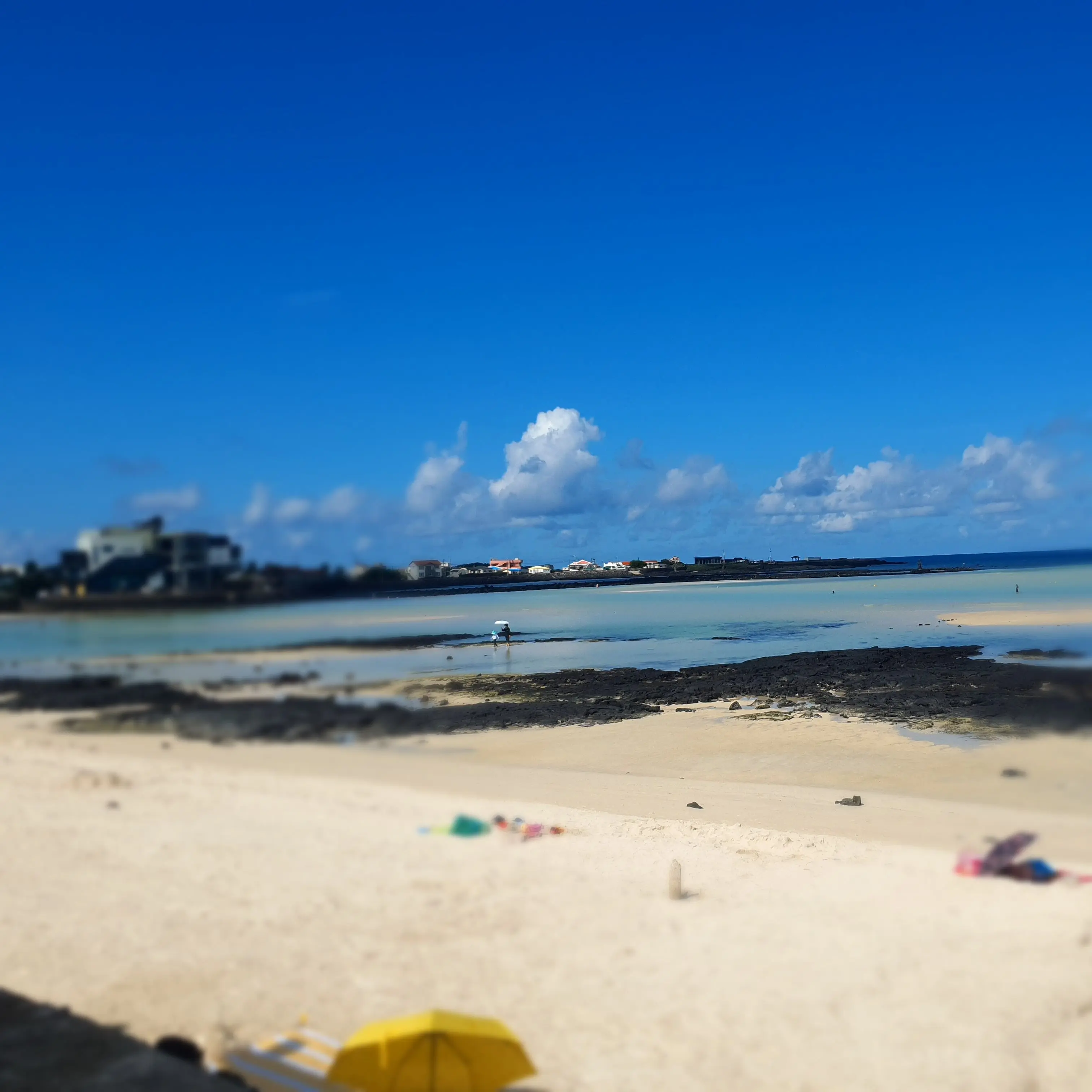 SuperbChili1412의 Dangerously 죽을만큼 사랑해