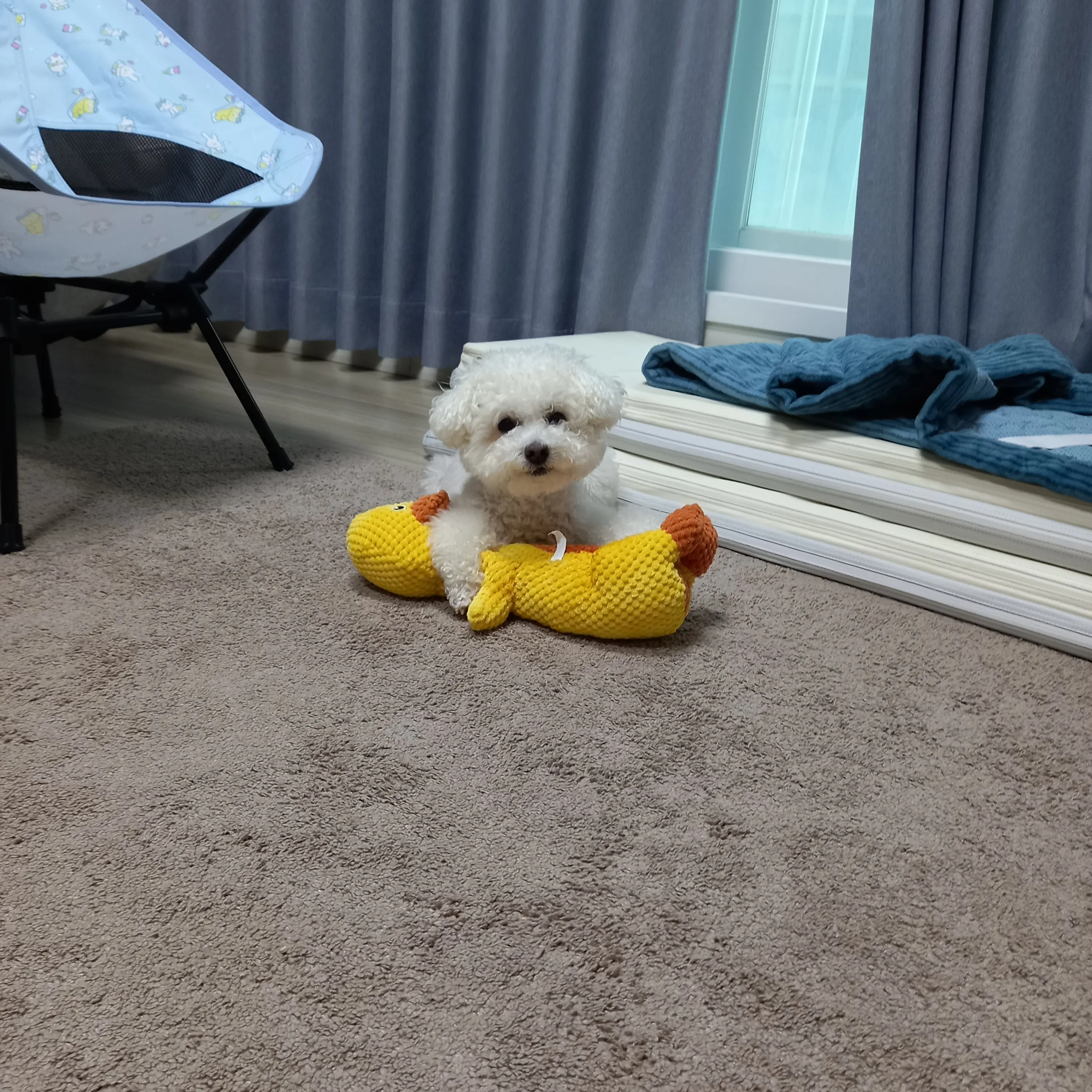 GustyGem1417의 조사병단 뜰팁