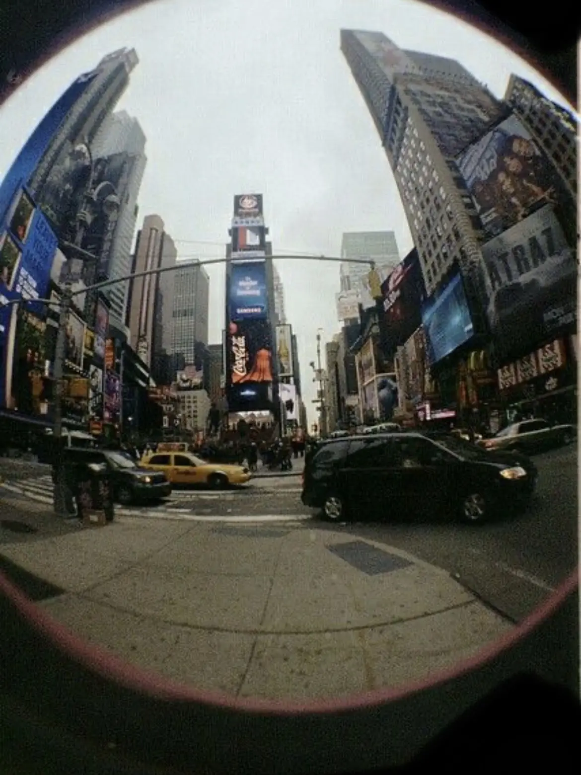 NutmegRiver5834의 시라유키 히나