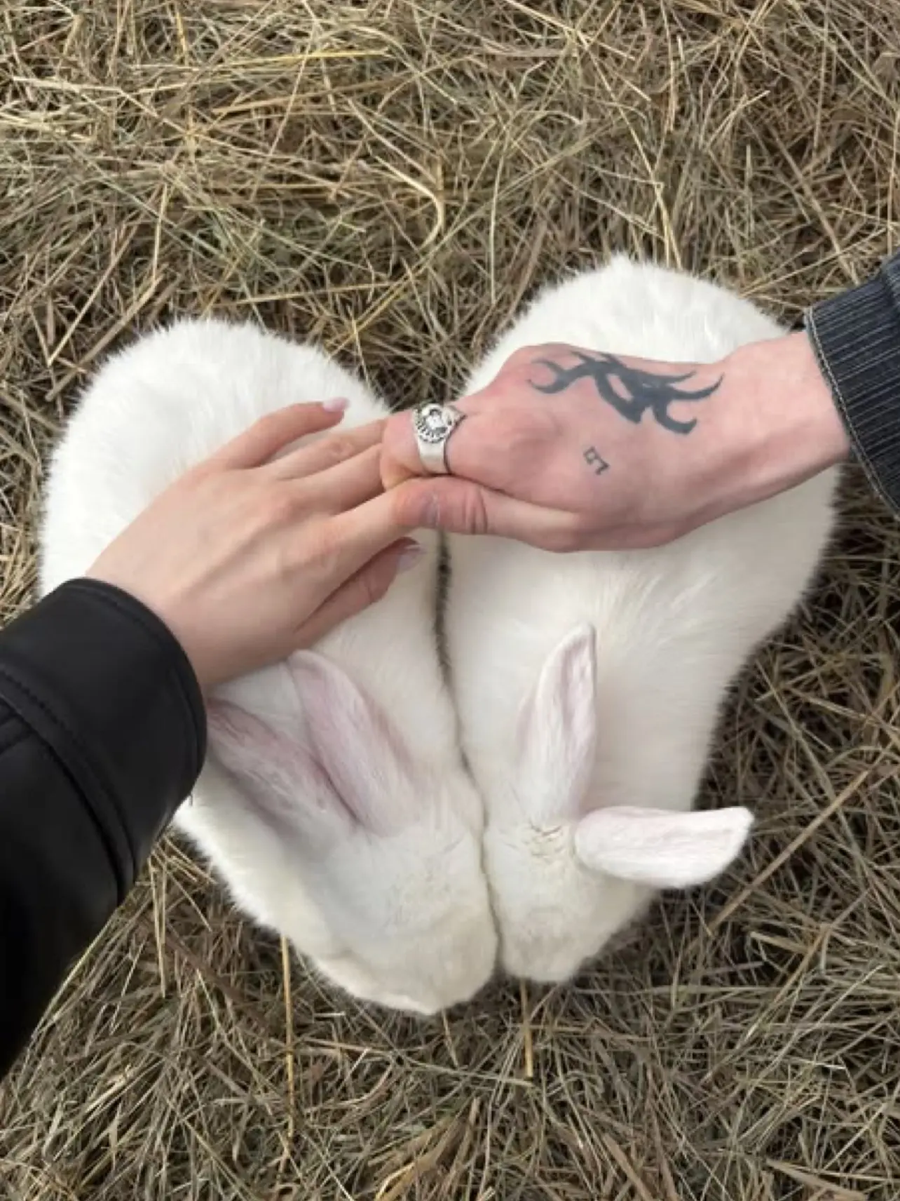 princess_bellybunny의 Poor man… or not?