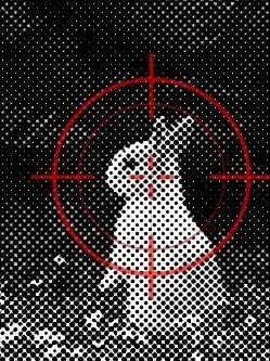 SGO__의 누가울새를죽였나