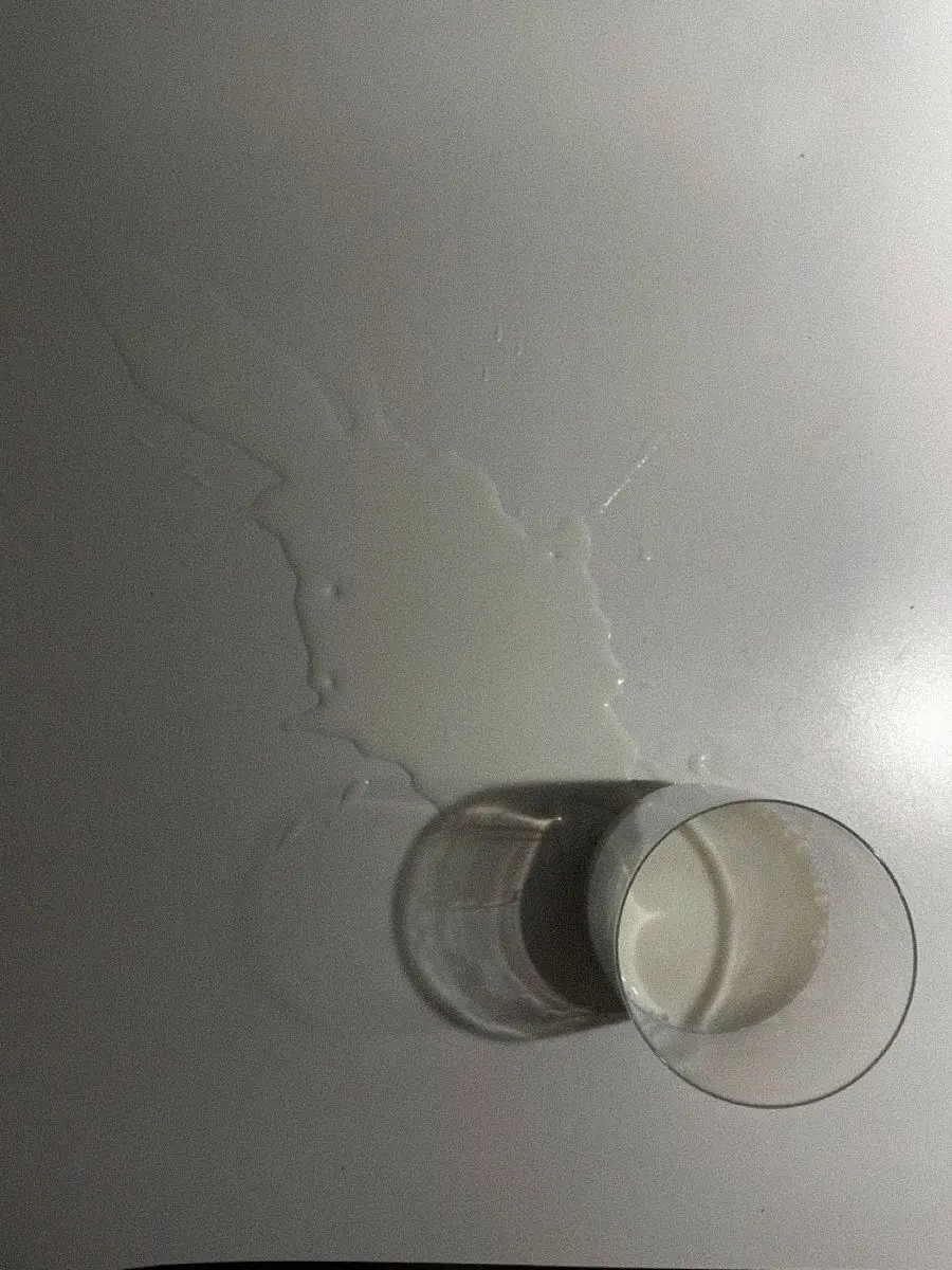 ..o_o의 ㅤ