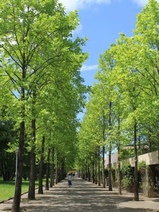 CoralRelax4421의 밀그램 학교