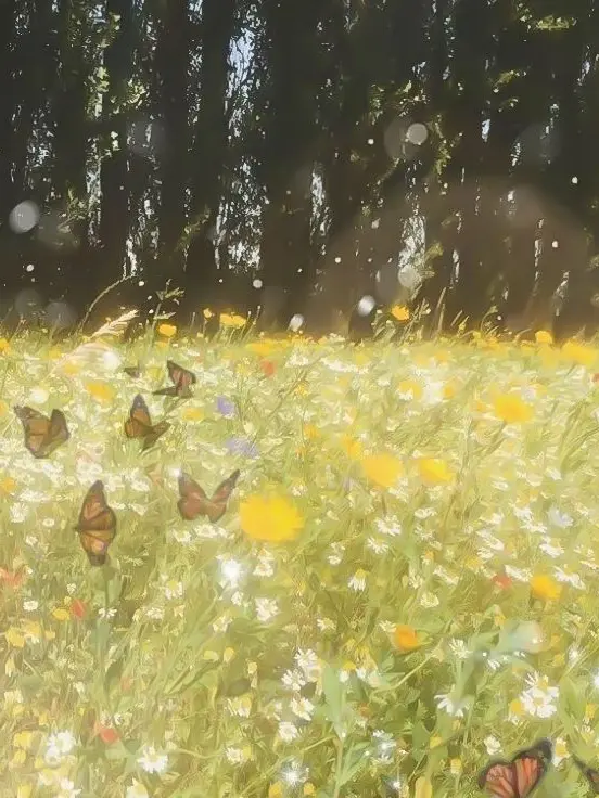 ubynim의 당신을 좋아해도 될까요...!