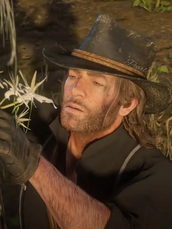 NativeSlab5067의 Modern Dating Arthur Morgan