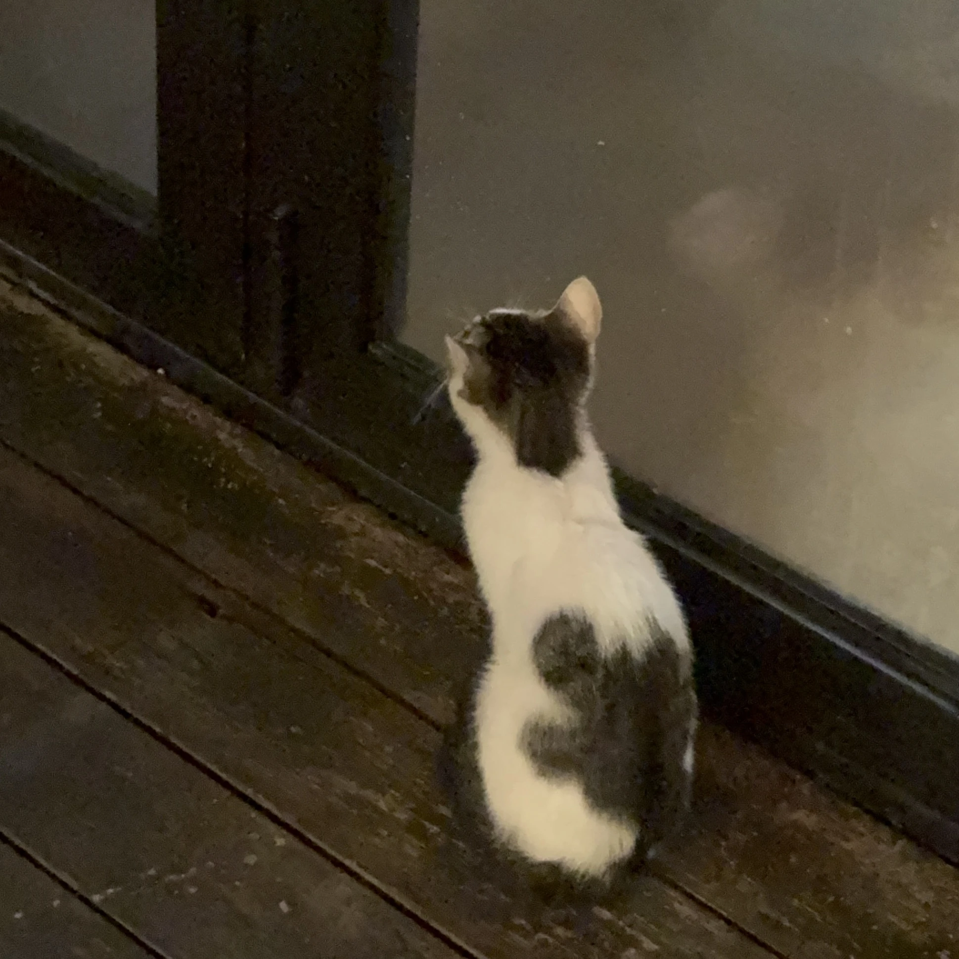 고백
