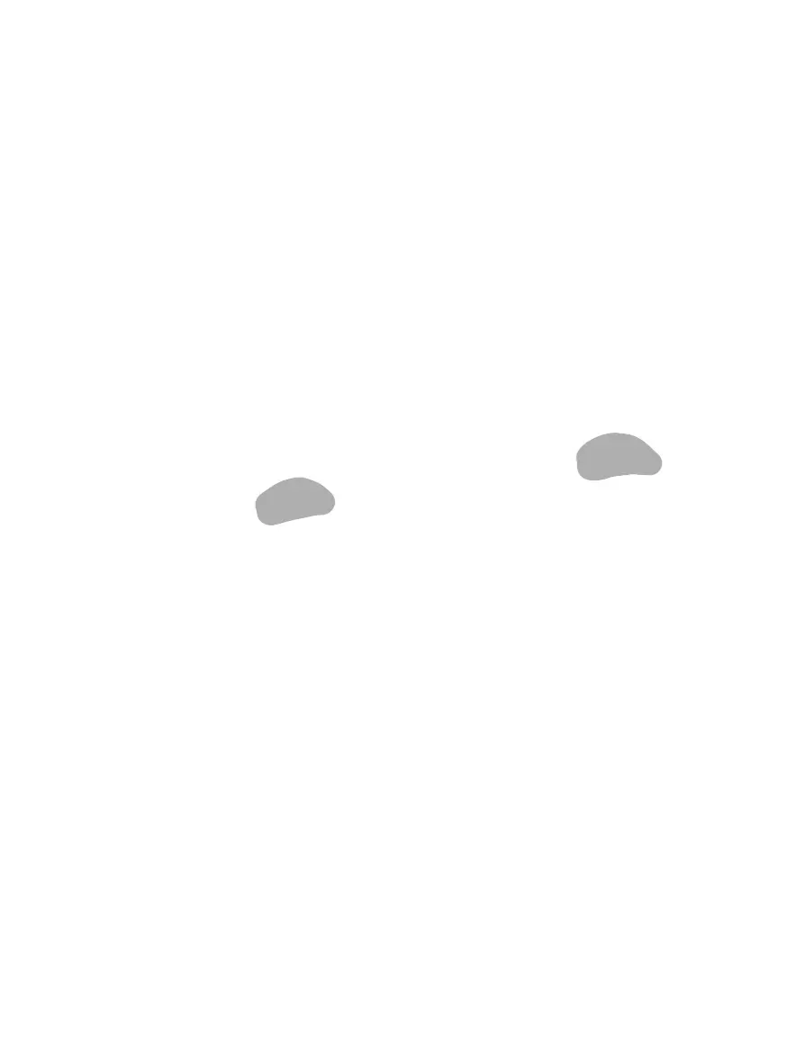 Bananajapan의 いえい
