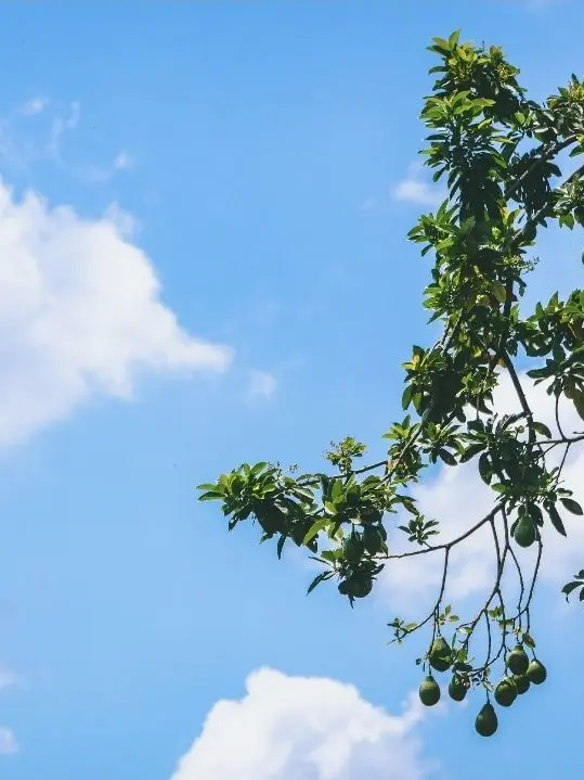 hello2025의 대저택 가족