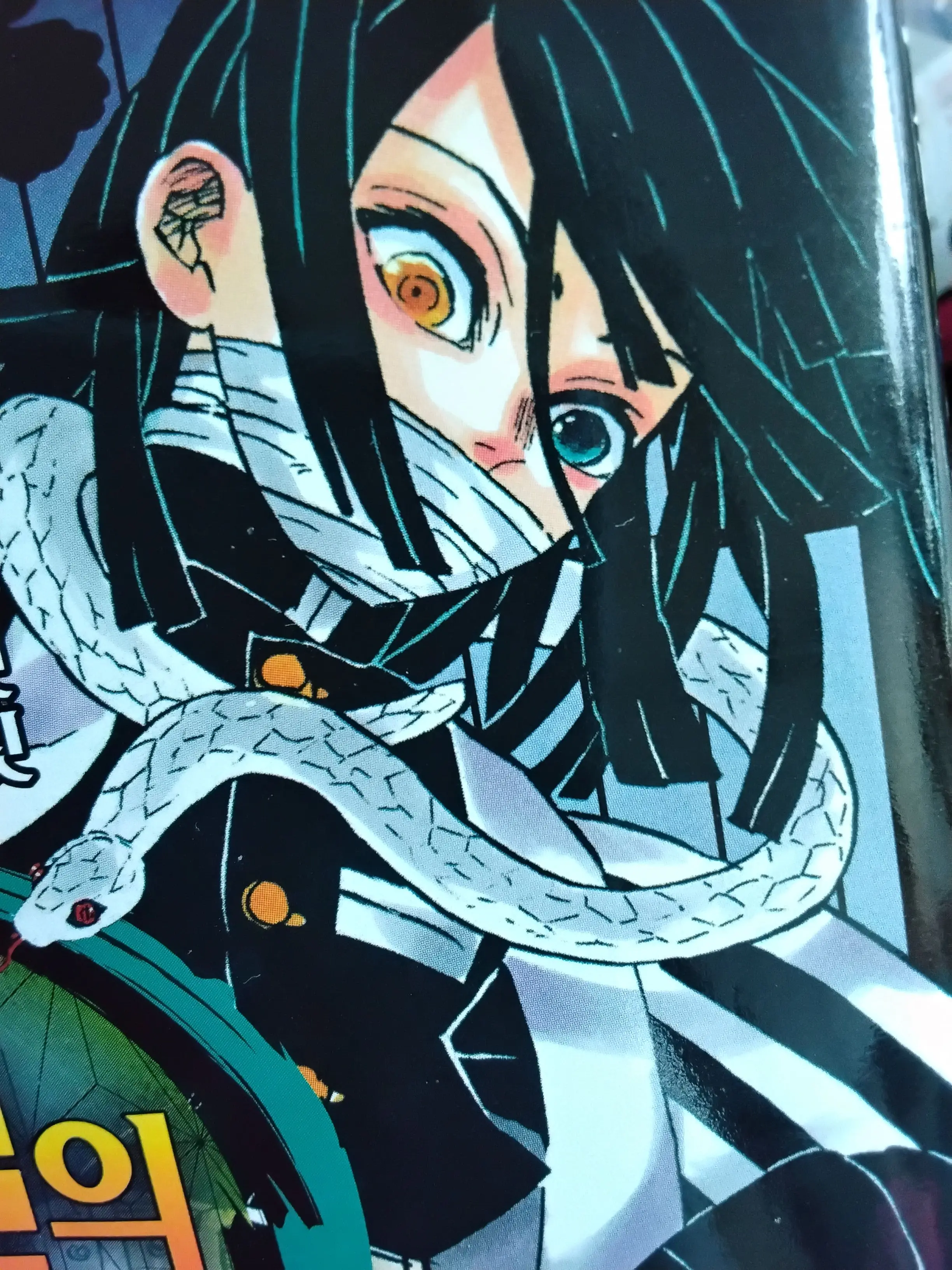 CyanMelon1111의 이구로랑 여우랑 바람펴요.