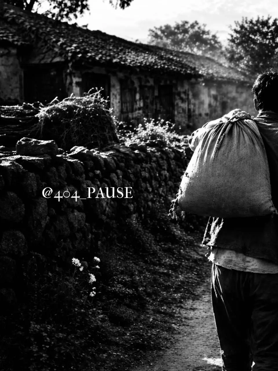 404_pause의 토박이