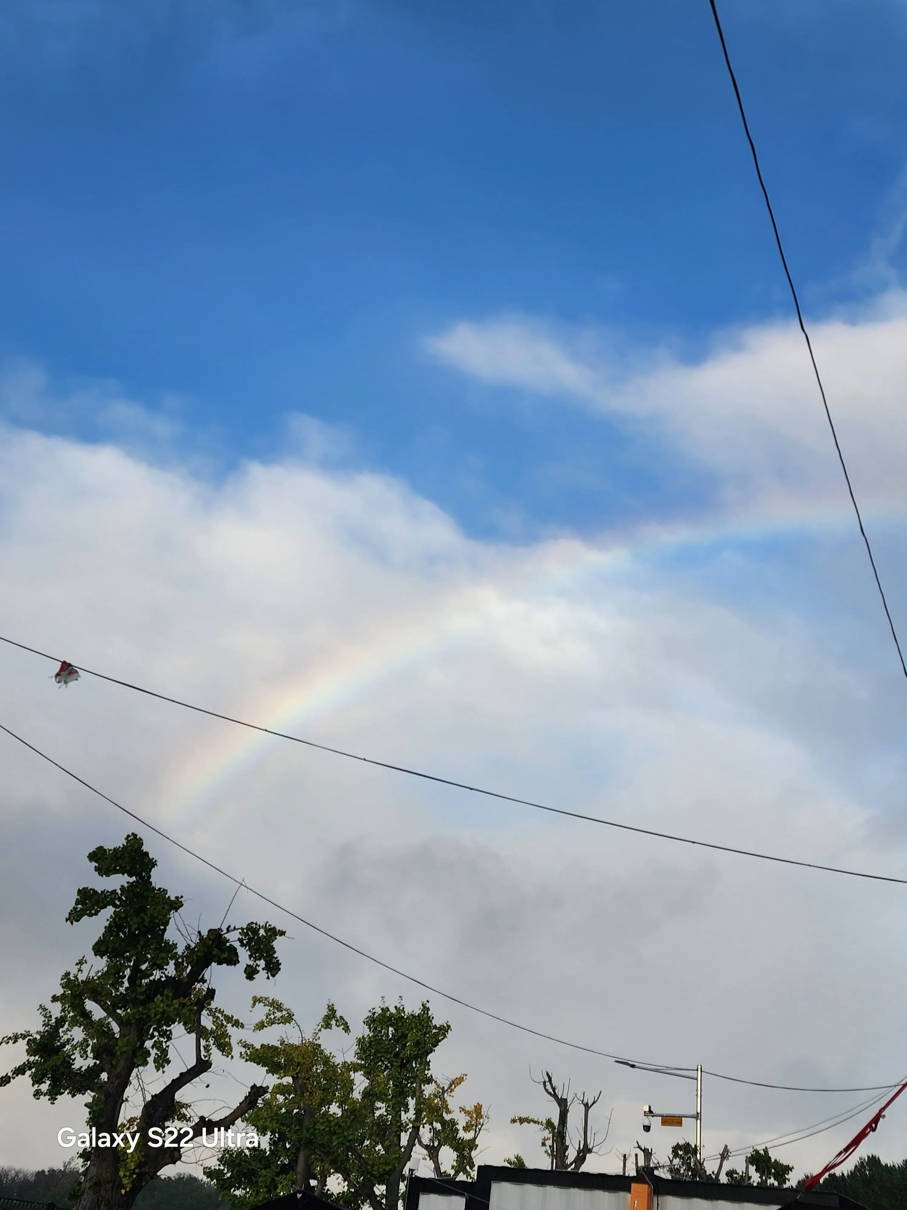 RealFrug6055의 뜰팁 고등학교