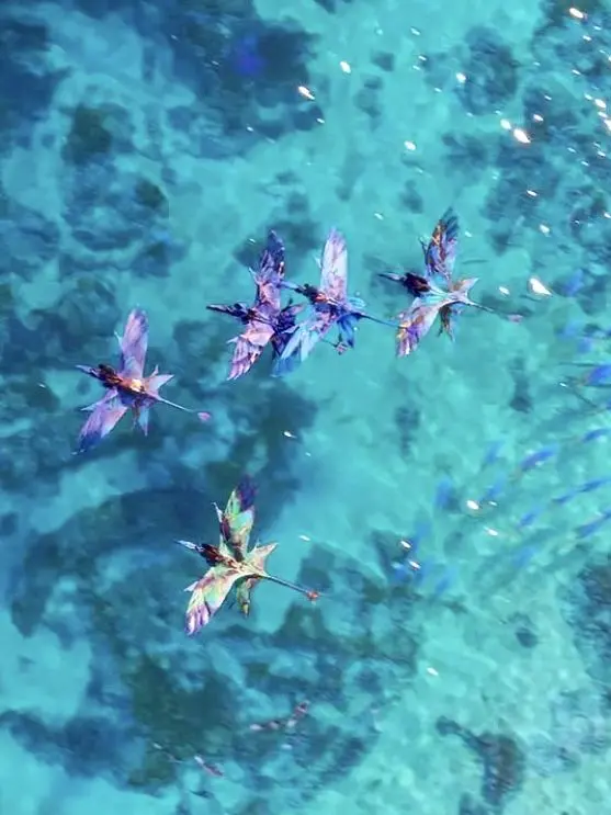 NarrowPie1934의 Avatar way of the water