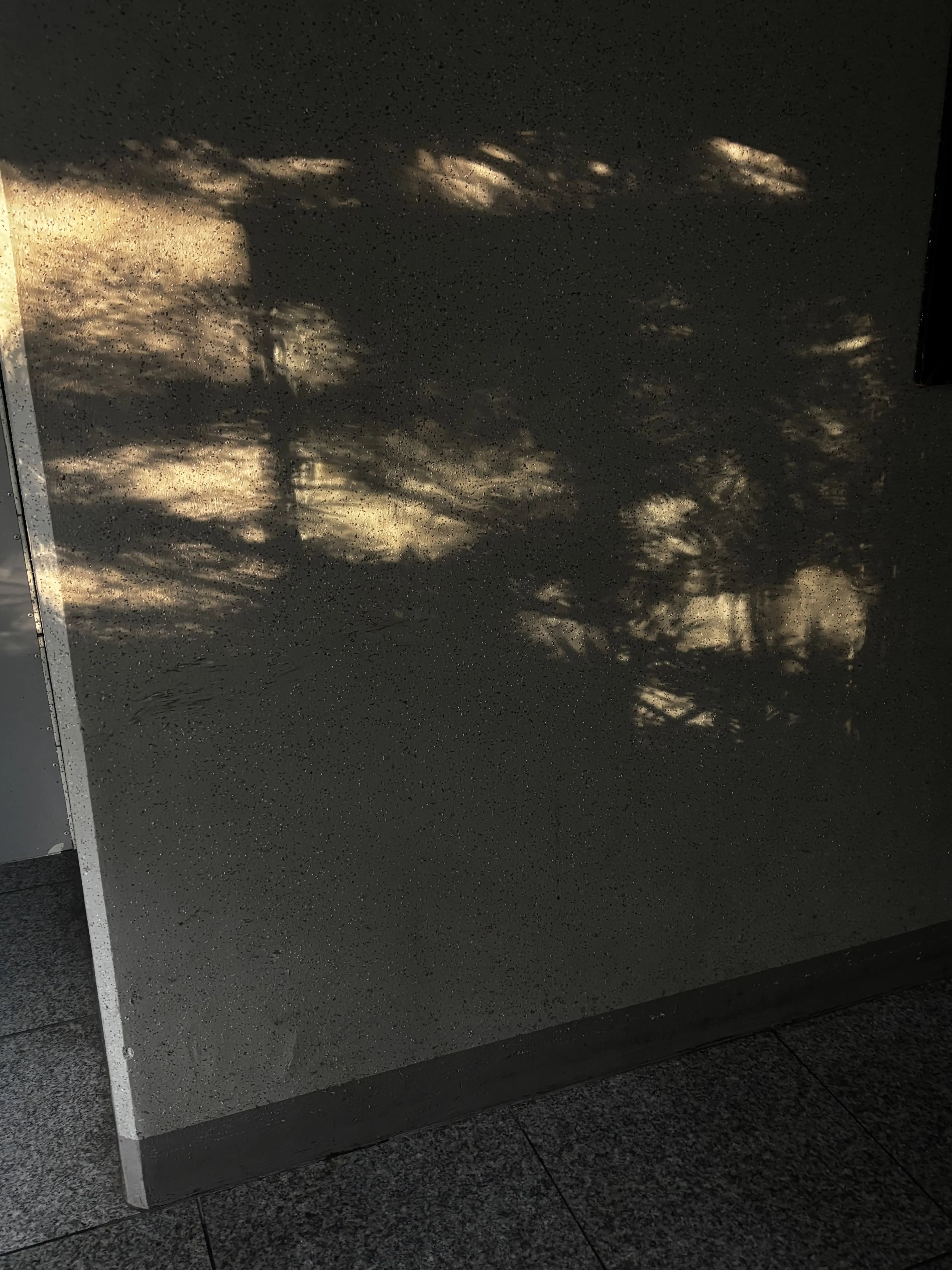 haxju의 고아에서 쌍존이 아끼는 아해가 됐다