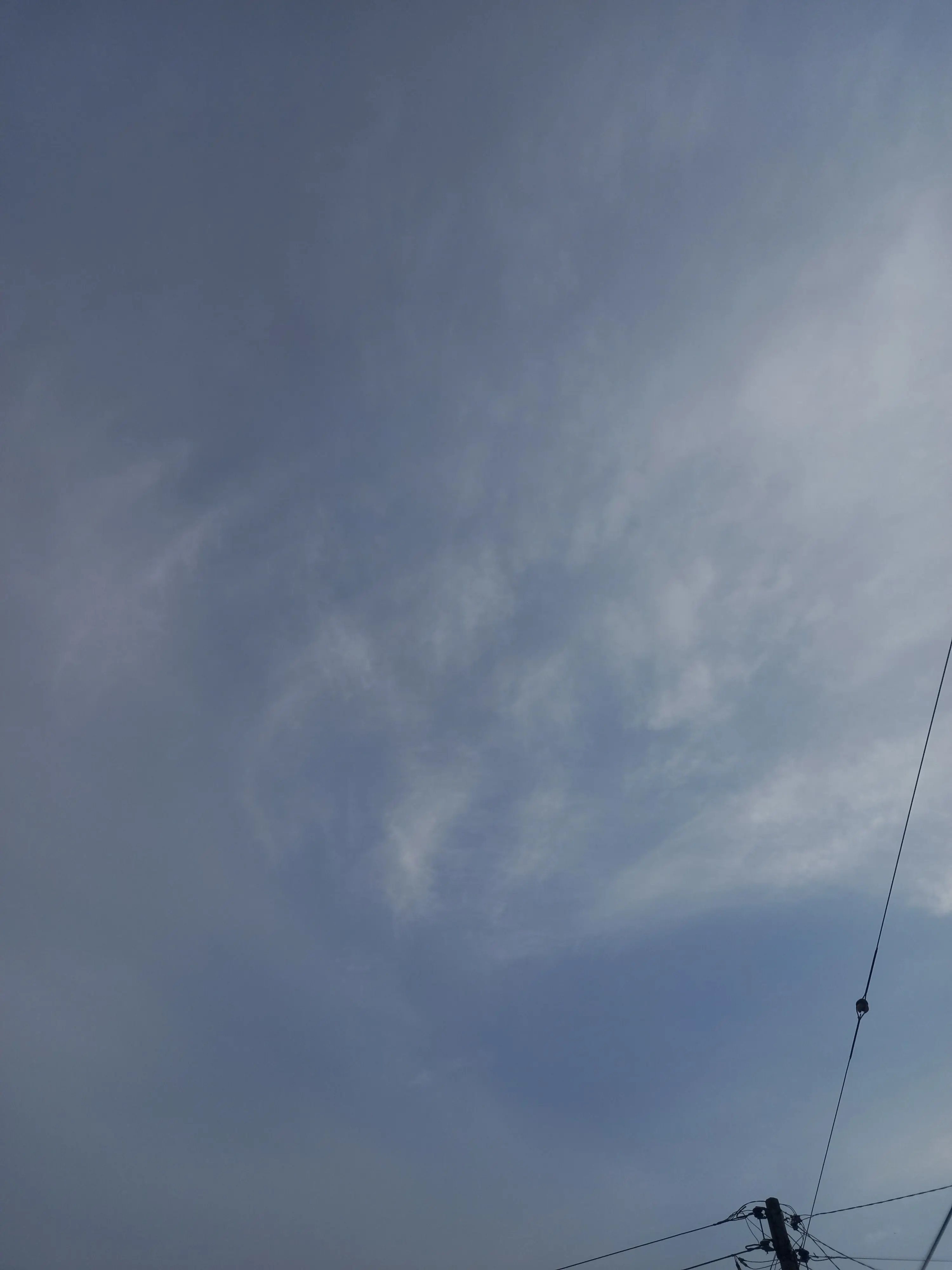 Easyeasyeasyeasyeasyeasy의 미겜즈 수인학교(여우편)