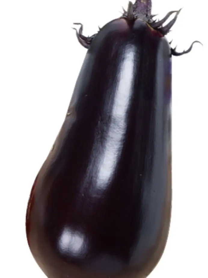 mamimumero의 Eggplant🍆