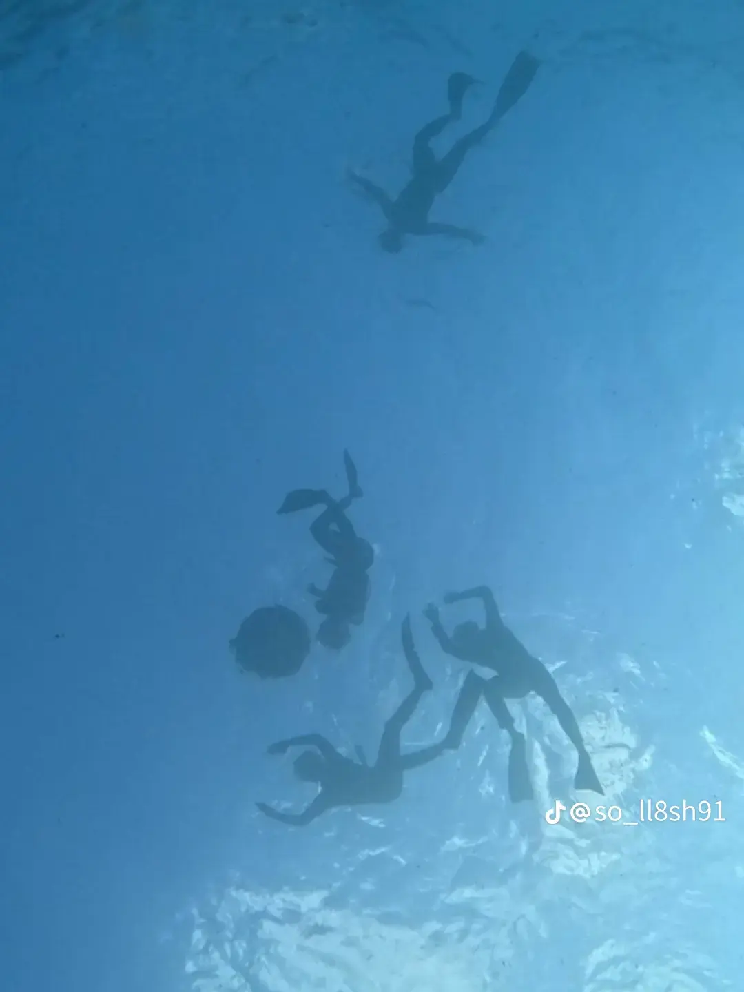 N1na_mnt의 「ずーっとイッショ」