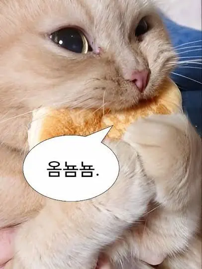 salt_love의 난 너의 약혼자가 될 수 없대