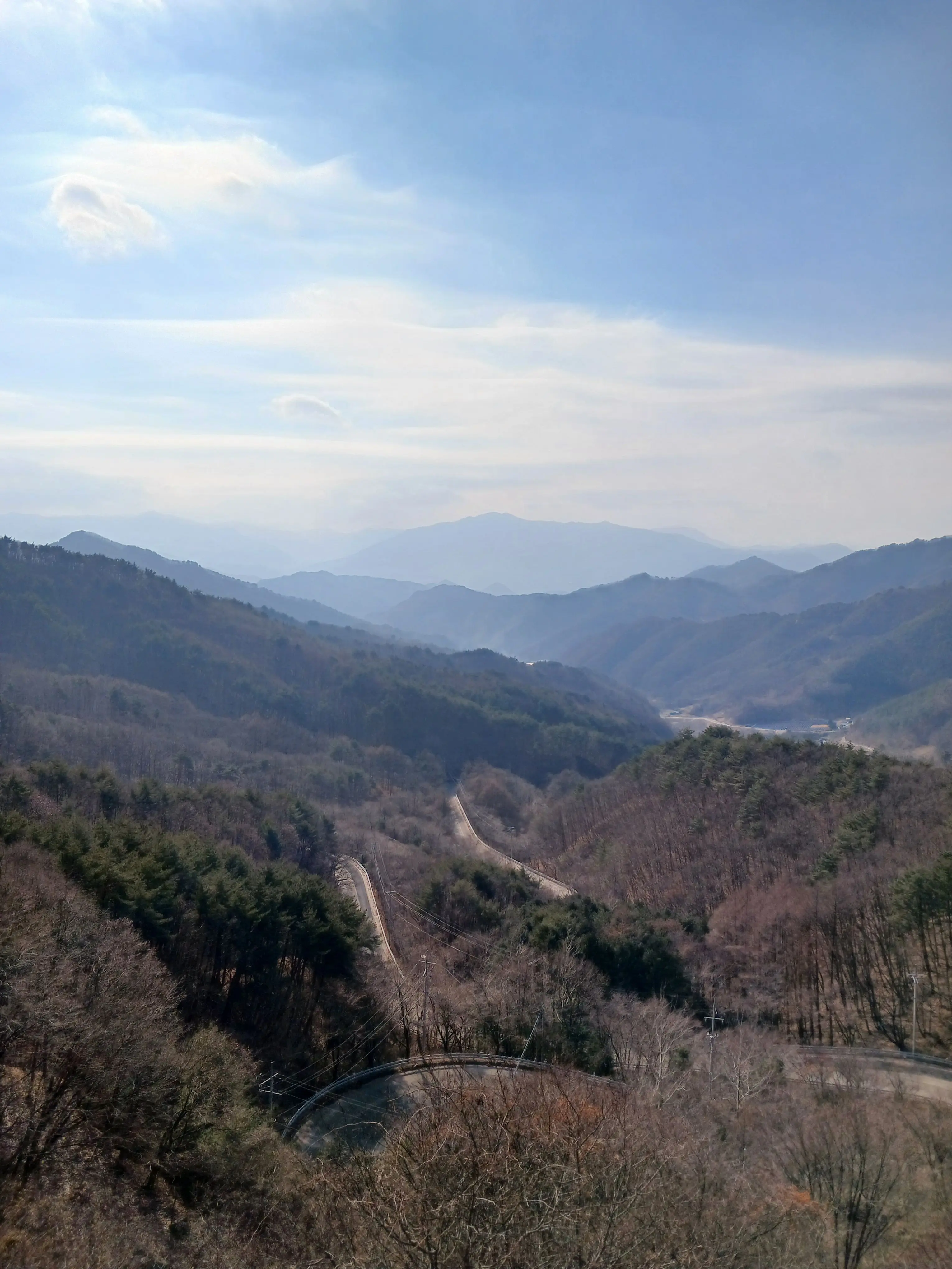 SleazyFlute2772의 유튜버와동거