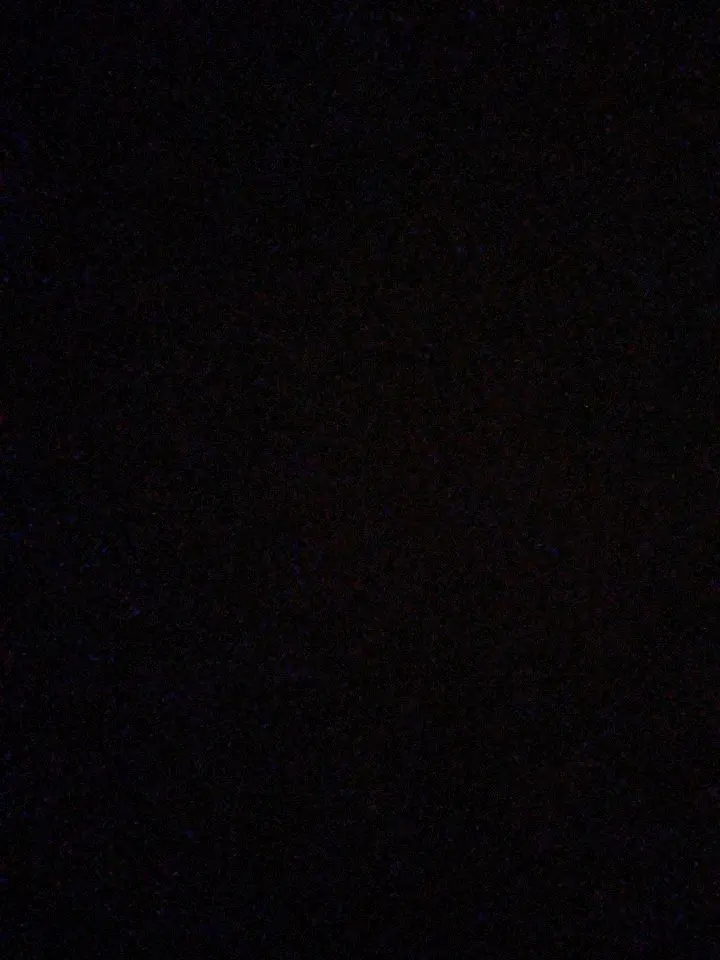 ThinCart5684의 ぶり子襲撃&ブルロメンに弱愛してもらうw