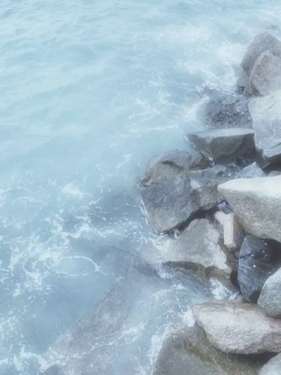 HumaneBoots3012의 난크리스마스엥고ㅗ십ㅂ어ㅡㅏ