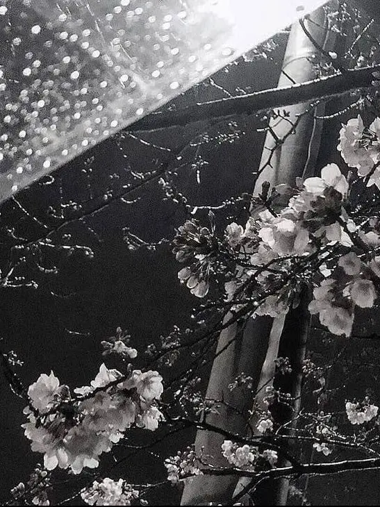 01s.ang의 🪶ㅣ동거