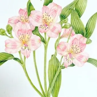 RobustShack9653의 쫓아낼 땐 언제고. 뭐?