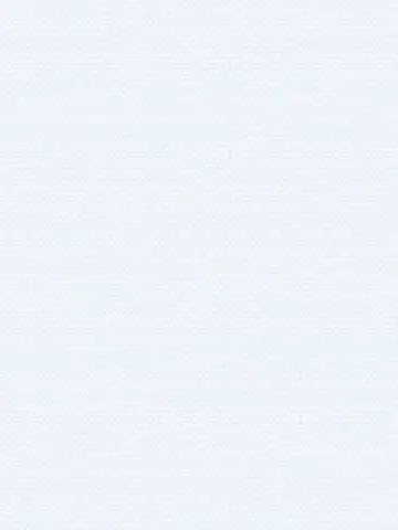 DirectBatch6174의 黒猫2匹を拾ったら