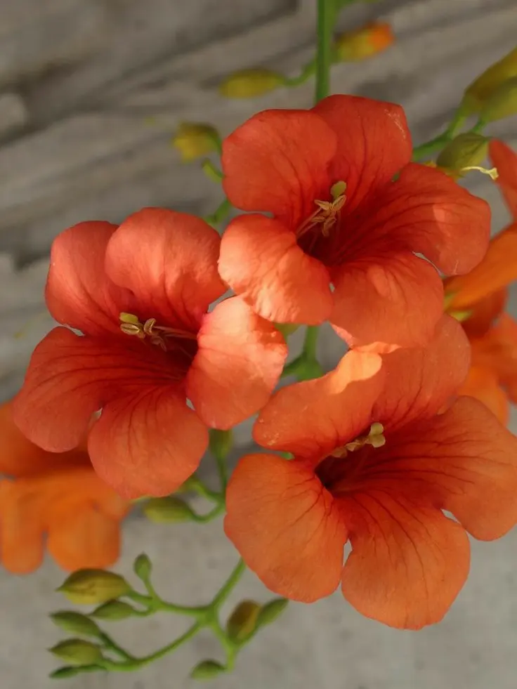 dpxnp의 비서님, 꽤나 예뻐지셨네요