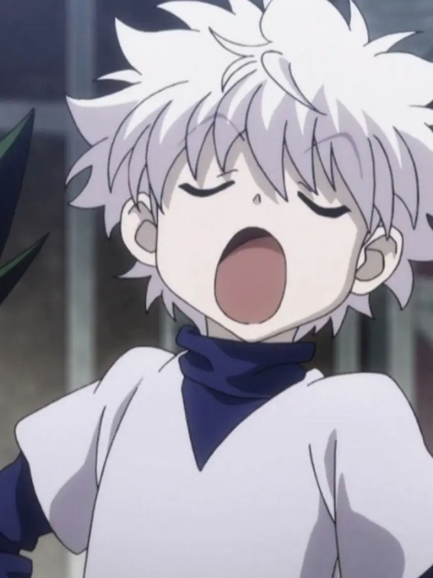 09293148kew의 Hunter x Hunter + Yeou (Revised)