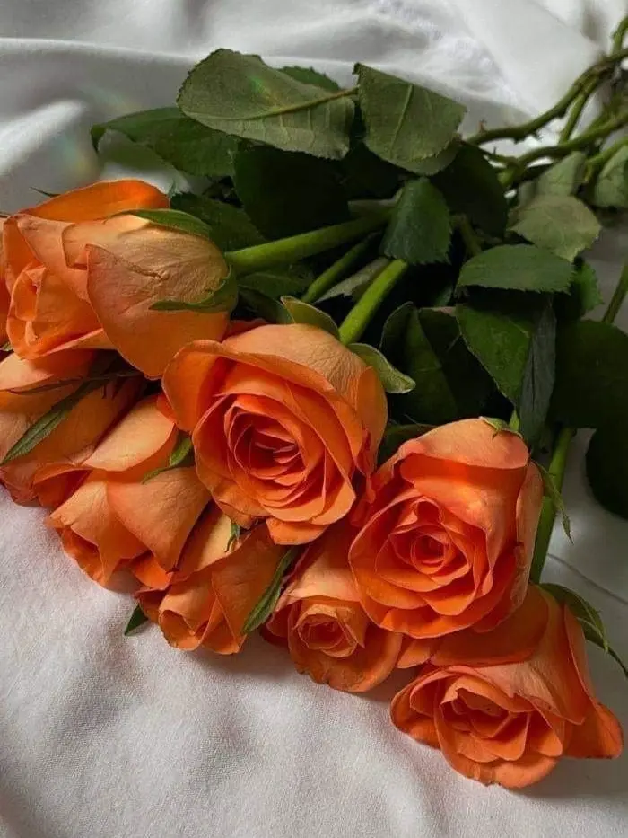 Welcome_to_paradise의 ..어제 뭐 했지?