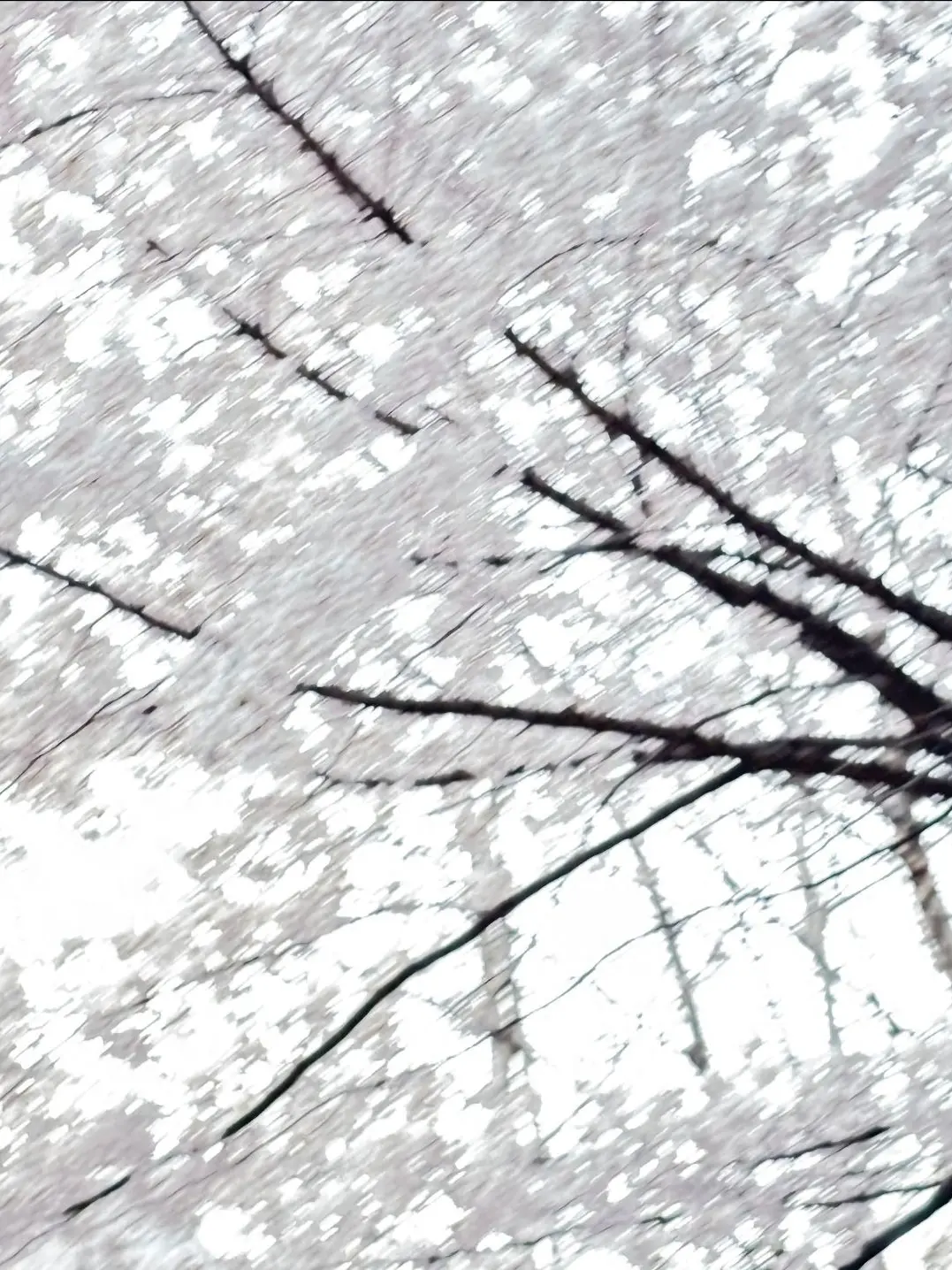 Muname_Sukunaham의 자유